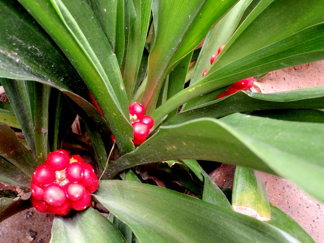 a0007388_1237426.jpg