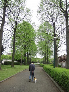 e0121589_19314811.jpg