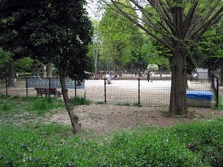 e0121589_19362039.jpg
