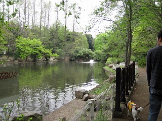 e0121589_19372787.jpg