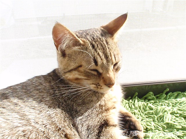 a0159490_12351552.jpg
