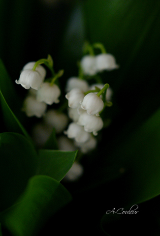 b0213791_05894.jpg