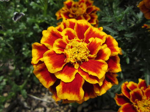 c0196992_22284329.jpg