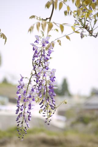 f0222692_1933556.jpg