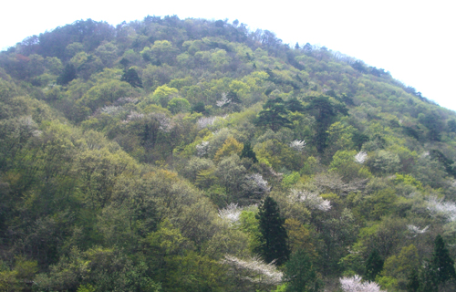 b0099994_12554910.jpg
