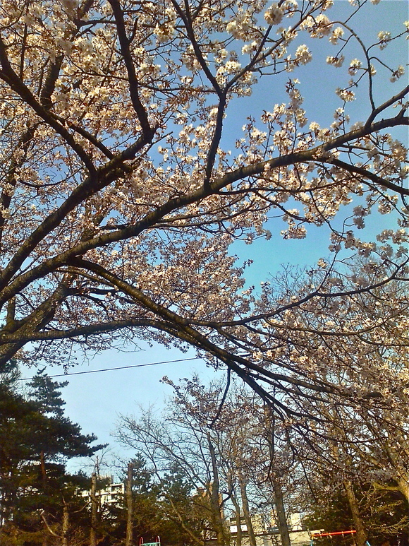 b0199097_19114963.jpg