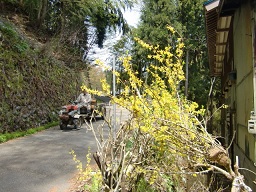 c0187298_20435631.jpg