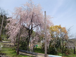 c0187298_20454692.jpg