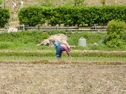 c0187298_2046639.jpg