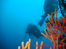 e0023100_1584698.jpg