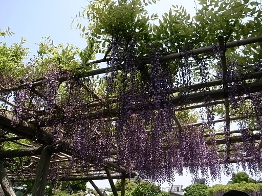 e0043700_22241592.jpg