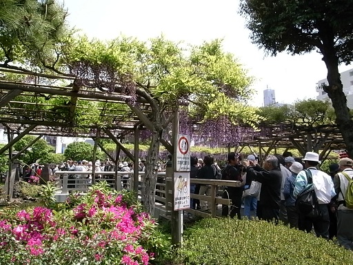e0043700_22243073.jpg