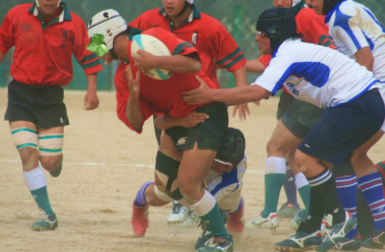 f0031304_5583635.jpg
