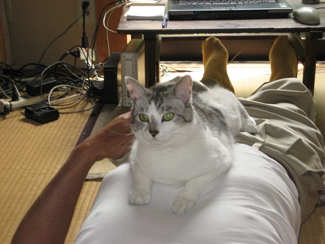 a0188405_15593369.jpg