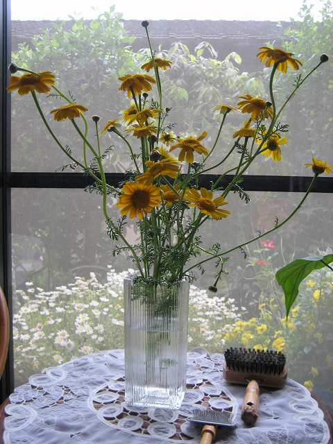 a0188405_16111157.jpg