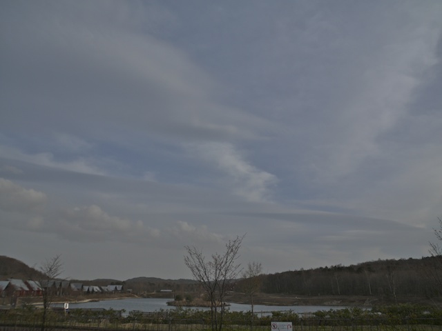 b0180506_850372.jpg