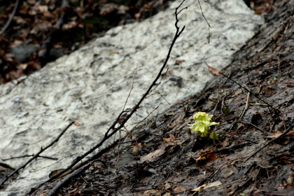 f0041606_1743014.jpg