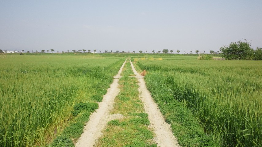 e0197807_1442057.jpg