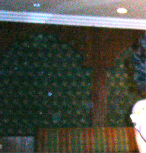 e0103408_222411.jpg