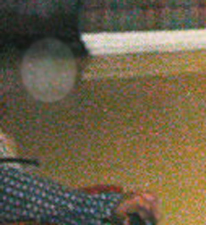 e0103408_2225370.jpg