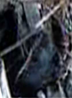 e0103408_53077.jpg