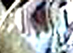 e0103408_5415726.jpg