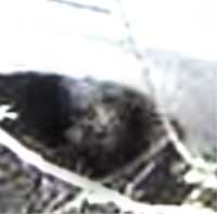 e0103408_5425786.jpg