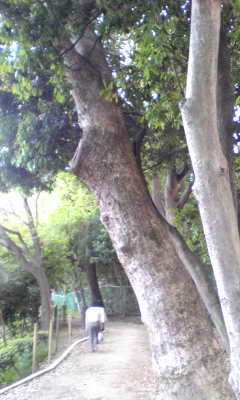c0180209_20243428.jpg