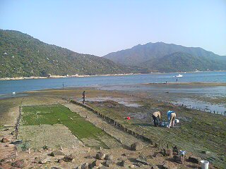 c0129314_1021587.jpg