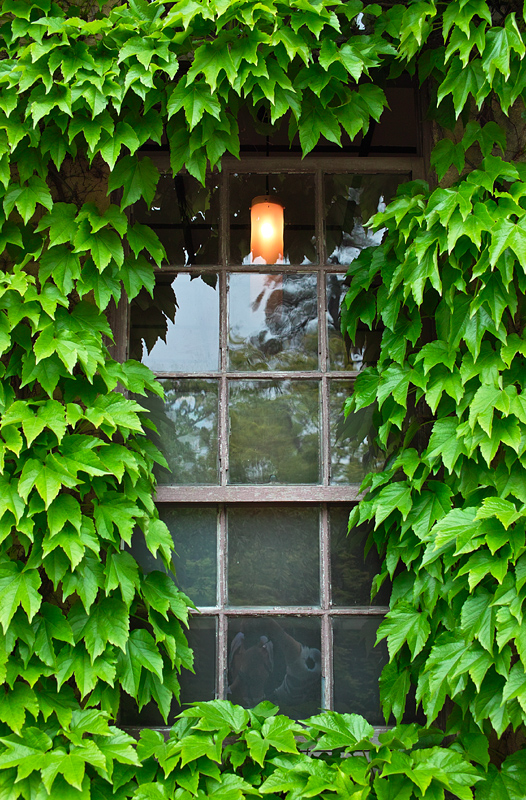 c0062418_21134567.jpg