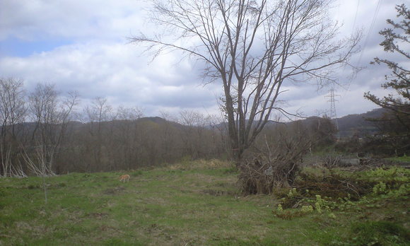 e0227023_21461978.jpg