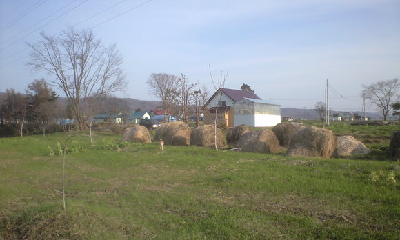 e0227023_21484490.jpg