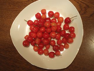 b0008825_9464669.jpg