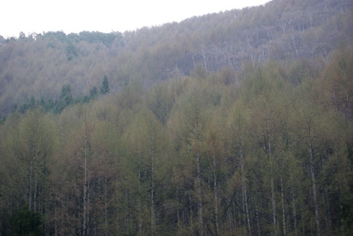 c0184125_16455864.jpg