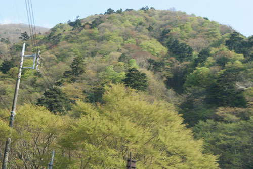 c0184125_16485491.jpg