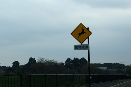 c0184125_16494020.jpg