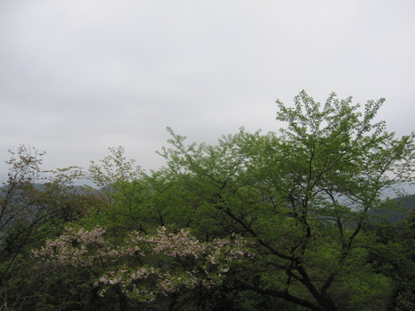 d0156625_7321972.jpg