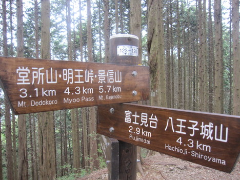 d0156625_7363329.jpg