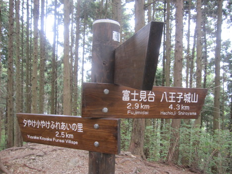 d0156625_7381641.jpg