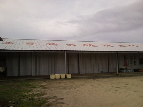 f0197325_1135654.jpg