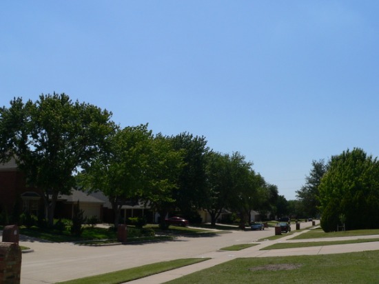 f0238932_713116.jpg