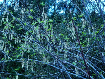 d0037233_15250100.jpg