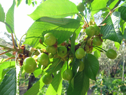 f0234936_734541.jpg