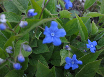 c0117239_849438.jpg