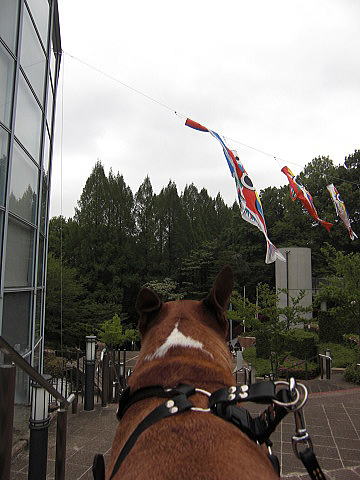 f0094843_1475221.jpg