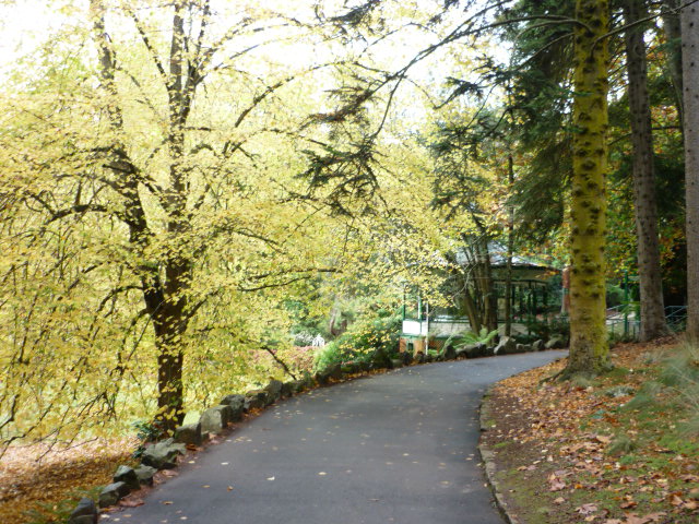 a0118447_19404888.jpg