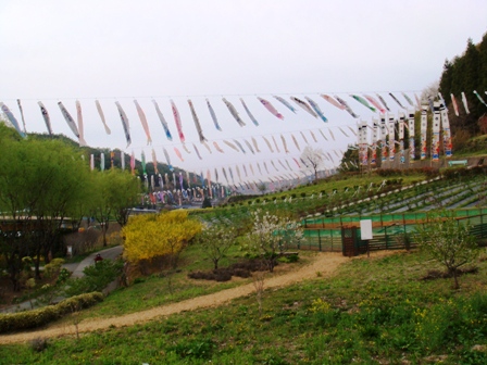 e0201748_18532566.jpg