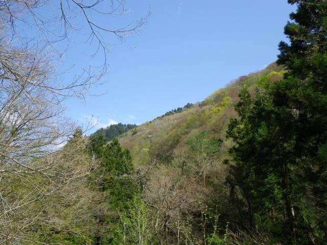 b0177355_22591334.jpg