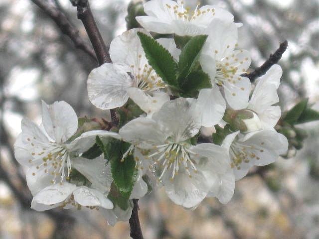 b0207361_12351570.jpg