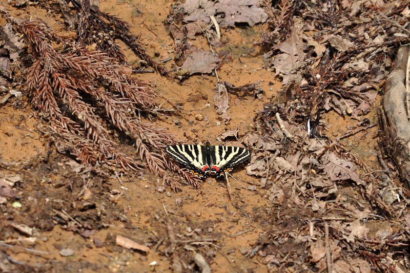 c0043361_23285685.jpg